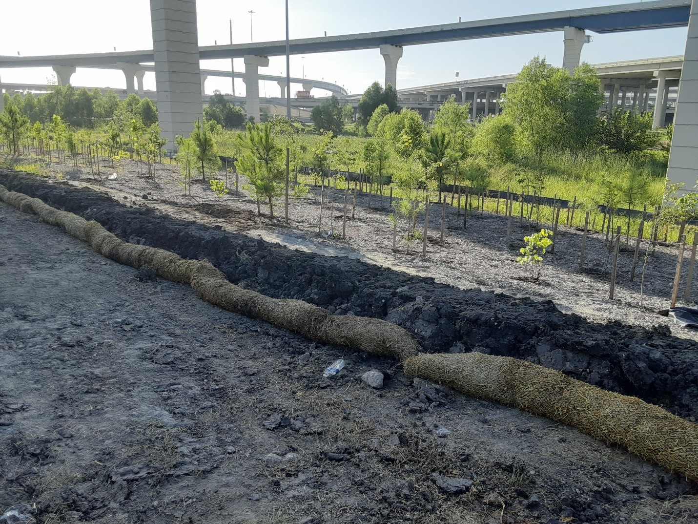 In this image, strategically positioned inlet protection barriers, complemented by trees and diverse vegetation, serve as a powerful solution for mitigating stormwater pollution.