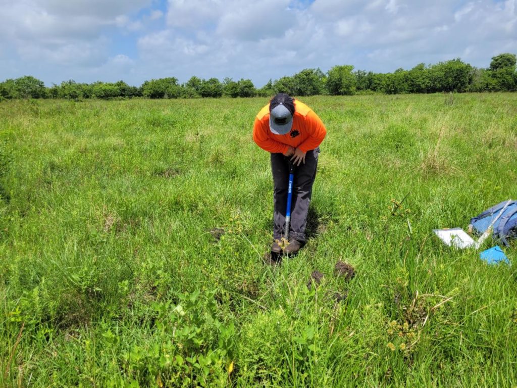 Wetland Services